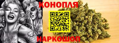 спайс Моздок
