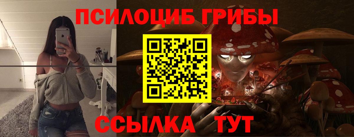 Галлюциногенные грибы MAGIC MUSHROOMS  Вход с VPN  Углич  Галлюциногенные грибы мухоморы 